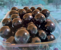 Fotos: Divulga&ccedil;&atilde;o