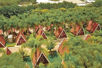 Foto: Divulga&ccedil;&atilde;o