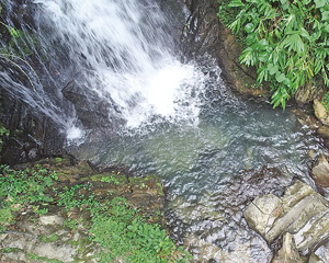 Fotos: Divulga&ccedil;&atilde;o/PETAR