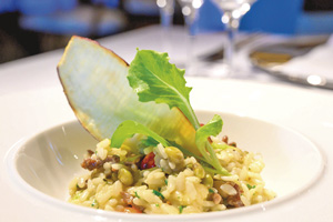 Foto: Divulga&ccedil;&atilde;o