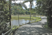 Foto: AGZN