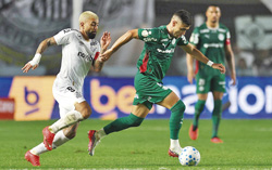 Foto: Divulga&ccedil;&atilde;o Palmeiras/Cesar Grecco 